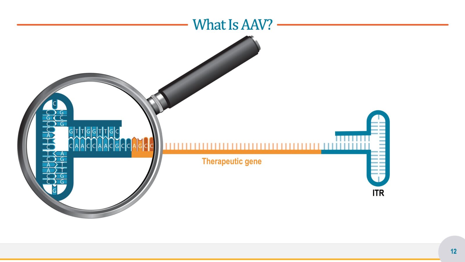 Gene Therapy