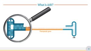 Gene Therapy