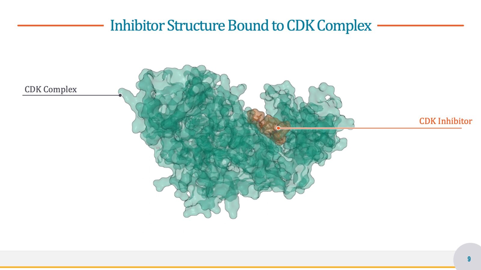 molecular Ilustration
